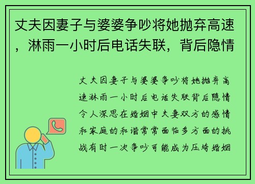 丈夫因妻子与婆婆争吵将她抛弃高速，淋雨一小时后电话失联，背后隐情令人深思