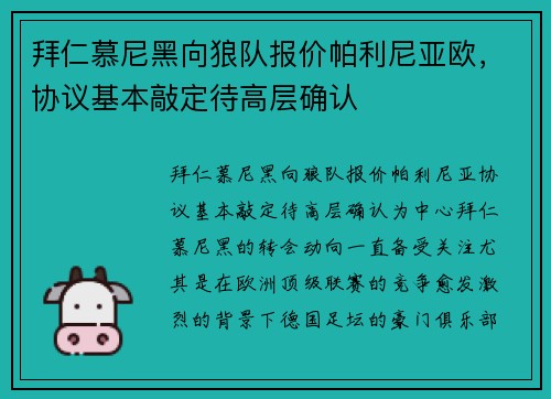拜仁慕尼黑向狼队报价帕利尼亚欧，协议基本敲定待高层确认