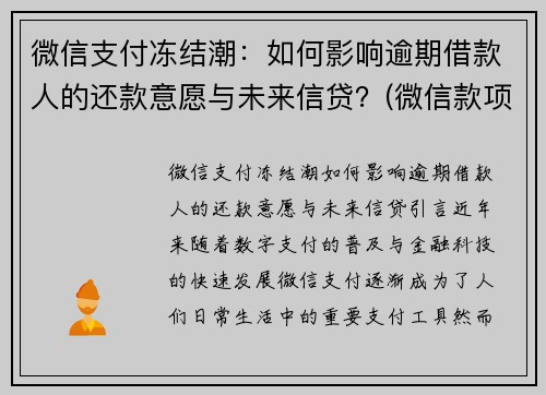 微信支付冻结潮：如何影响逾期借款人的还款意愿与未来信贷？(微信款项被冻结)