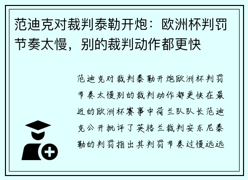 范迪克对裁判泰勒开炮：欧洲杯判罚节奏太慢，别的裁判动作都更快